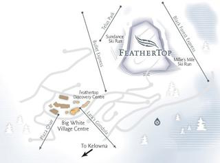big white feather top